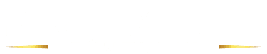 Premium Güvenlik Logo